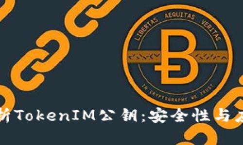深入解析TokenIM公钥：安全性与应用场景