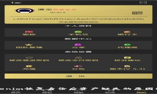 Tokenim恢复身份后资产缺失的原因解析
