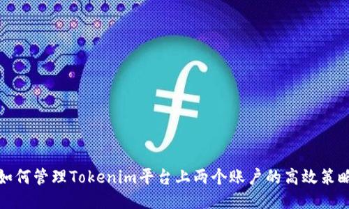 如何管理Tokenim平台上两个账户的高效策略