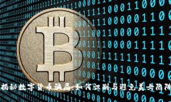 揭秘数字货币骗局：如何识别与避免美女陷阱