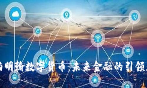 伯明翰数字货币：未来金融的引领者