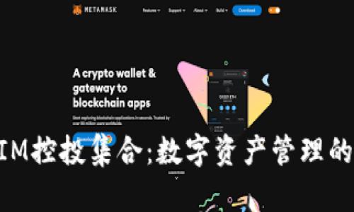 深入探讨TokenIM控投集合：数字资产管理的未来趋势与实践