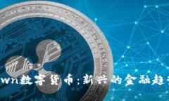 深入探索Brown数字货币：新兴的金融趋势与投资机