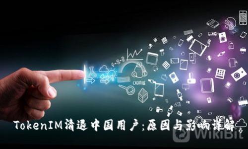 TokenIM清退中国用户：原因与影响详解