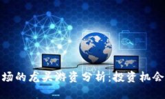 数字货币市场的龙头游资分析：投资机会与风险