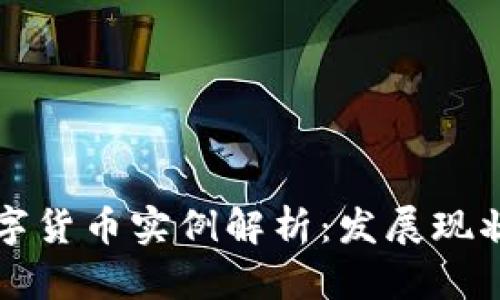 中国数字货币实例解析：发展现状与前景