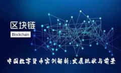中国数字货币实例解析：发展现状与前景