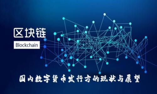 国内数字货币发行方的现状与展望