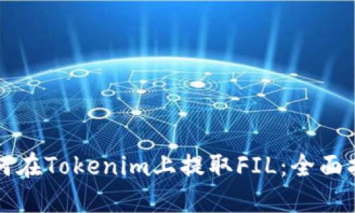 如何在Tokenim上提取FIL：全面指南