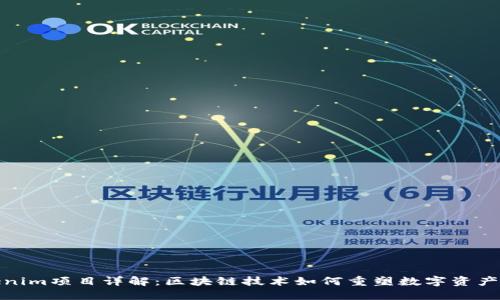 Tokenim项目详解：区块链技术如何重塑数字资产管理