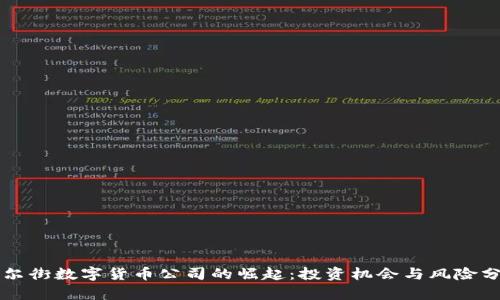 华尔街数字货币公司的崛起：投资机会与风险分析