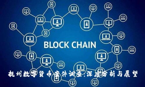 抚州数字货币案件调查：深度分析与展望
