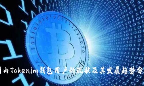 国内Tokenim钱包用户的现状及其发展趋势分析