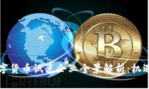福建数字货币试点企业全景解析：机遇与挑战