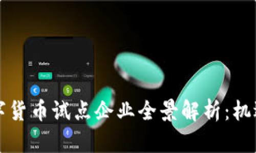 福建数字货币试点企业全景解析：机遇与挑战