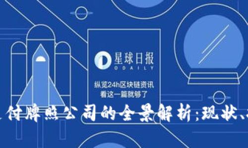 数字货币支付牌照公司的全景解析：现状、挑战与未来