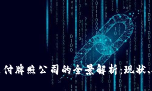 数字货币支付牌照公司的全景解析：现状、挑战与未来
