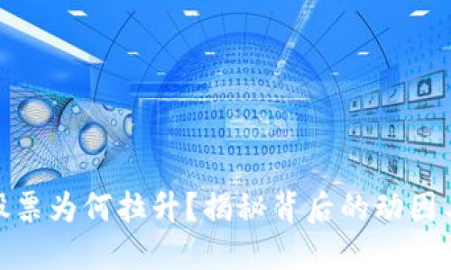 数字货币股票为何拉升？揭秘背后的动因与未来走势