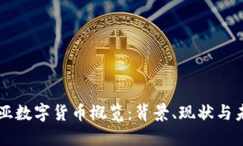 马来西亚数字货币概览：背景、现状与未来发展