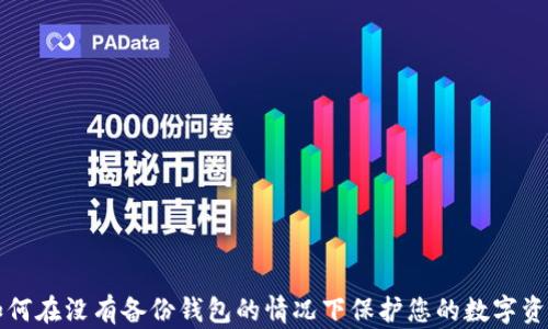 
如何在没有备份钱包的情况下保护您的数字资产