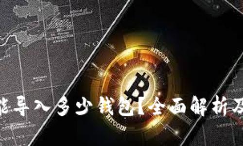 Tokenim能导入多少钱包？全面解析及使用指南