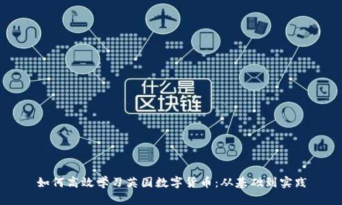 如何高效学习英国数字货币：从基础到实践