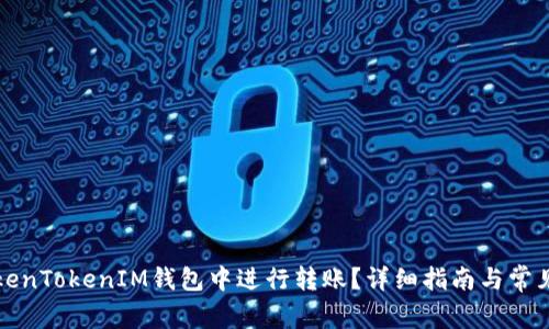 如何在TokenTokenIM钱包中进行转账？详细指南与常见问题解析