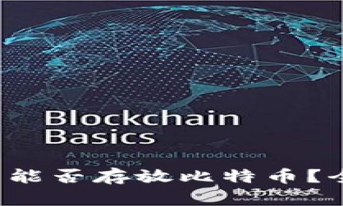 TokenTokenIM钱包能否存放比特币？全面解析与使用指南