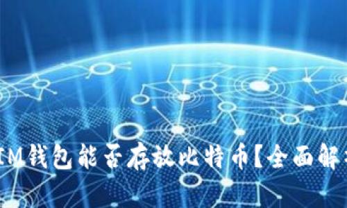 TokenTokenIM钱包能否存放比特币？全面解析与使用指南