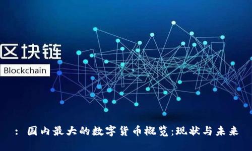 : 国内最大的数字货币概览：现状与未来