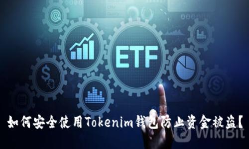 如何安全使用Tokenim钱包防止资金被盗？