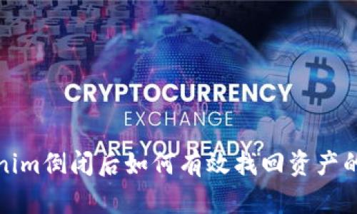 Tokenim倒闭后如何有效找回资产的指南