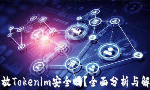 
钱放Tokenim安全吗？全面分析与解读