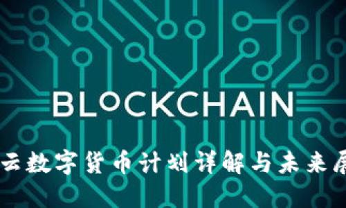 马云数字货币计划详解与未来展望