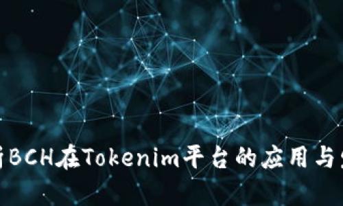 全面解析BCH在Tokenim平台的应用与发展趋势