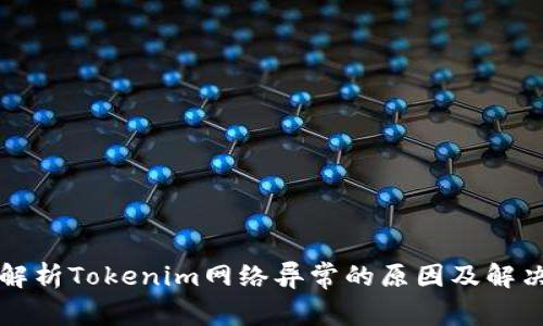 深入解析Tokenim网络异常的原因及解决方案