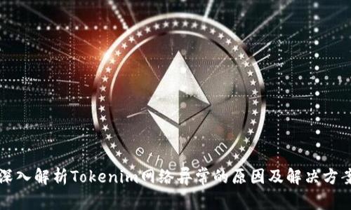 深入解析Tokenim网络异常的原因及解决方案