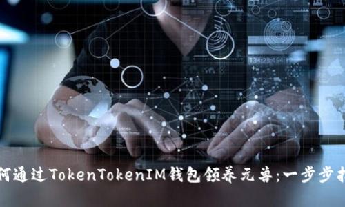如何通过TokenTokenIM钱包领养元兽：一步步指南