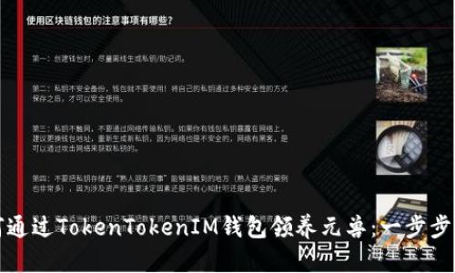 如何通过TokenTokenIM钱包领养元兽：一步步指南