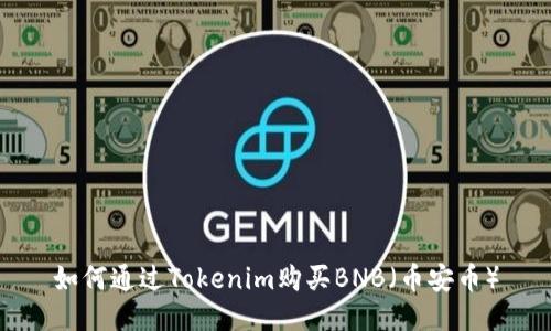 如何通过Tokenim购买BNB（币安币）