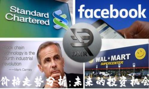 
以太坊钱包价格走势分析：未来的投资机会与风险评估