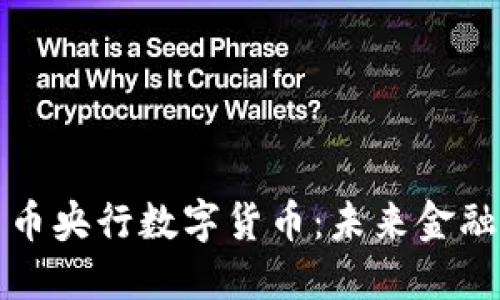深入探讨人民币央行数字货币：未来金融的创新与挑战