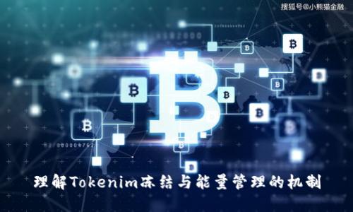 理解Tokenim冻结与能量管理的机制