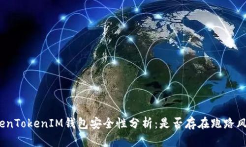 TokenTokenIM钱包安全性分析：是否存在跑路风险？