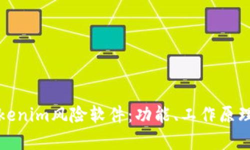 深入解析Tokenim风险软件：功能、工作原理与潜在风险