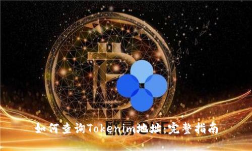 如何查询Tokenim地址：完整指南
