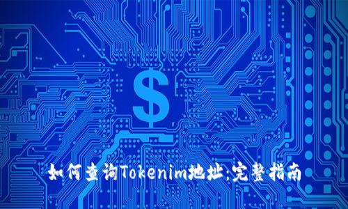 如何查询Tokenim地址：完整指南