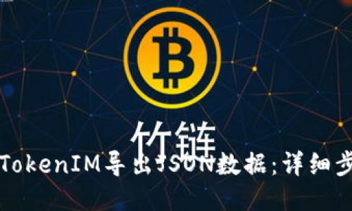 如何使用TokenIM导出JSON数据：详细步骤与指南