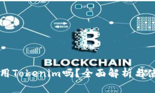 国内能用Tokenim吗？全面解析与使用指南