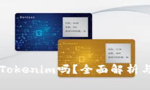 国内能用Tokenim吗？全面解析与使用指南